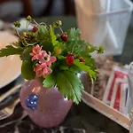 Casabella 22 住宿加早餐酒店 Castellino (Asti)