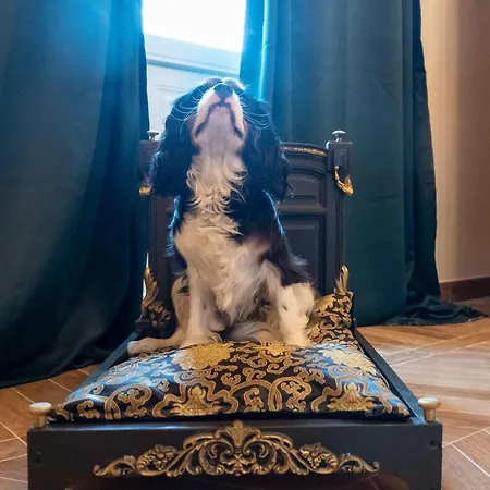 Casabella 22 4* Castellino (Asti)