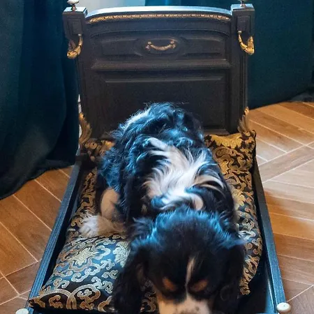 Bed & Breakfast Casabella 22 Castellino (Asti)