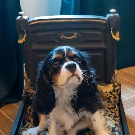 Casabella 22 Couette-café